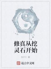 修真从挖灵石开始司马
