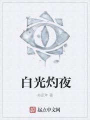 灼白夜结局