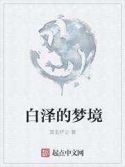 白泽的技能是什么