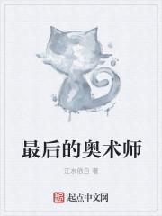 最后的奥术师百度百科
