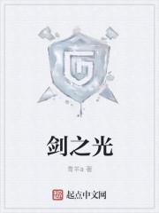 剑之光辉动画在线观看