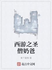 西游之圣僧奶爸阅读