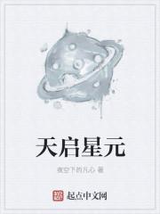 天启星大军