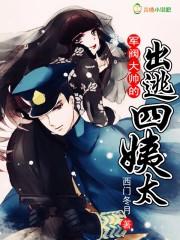 军阀大少的逃跑四姨太