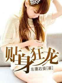 冰山总裁的贴身狂龙