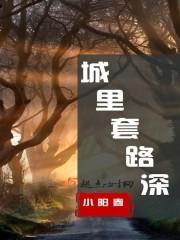 城里套路深游戏攻略