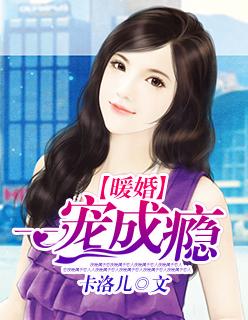 暖妻成瘾甜宠一对一