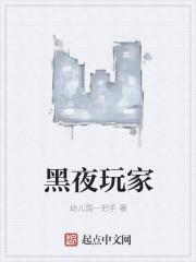 黑夜玩家全本TXT