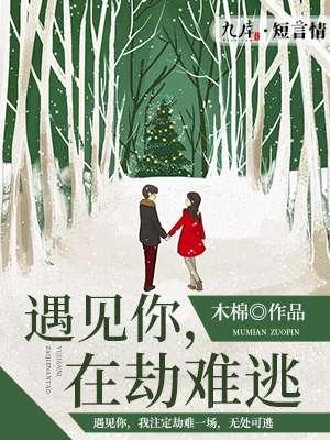 在劫难逃向婉宁