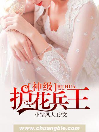 超级护花兵王二十七