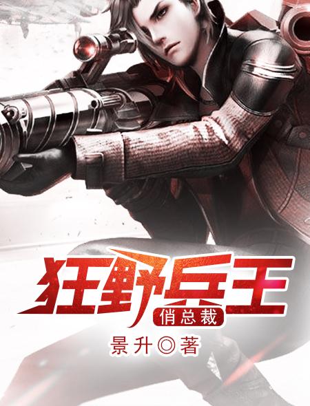 狂野兵王在都市