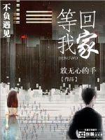 等我回家的时候是什么歌