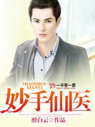 妙手仙医txt
