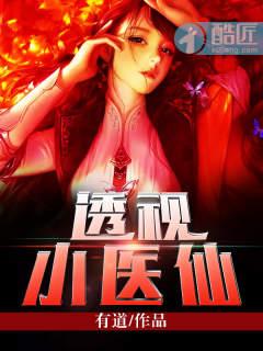 透视小医仙陈木