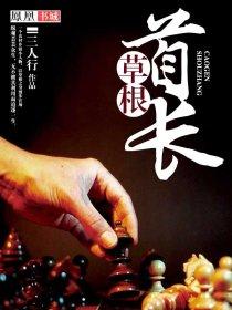 草根崛起仕途巅峰