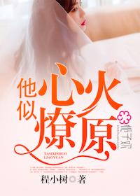 他似心火燎原免费阅读