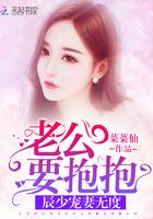宠妻无度老公要抱抱全文阅读