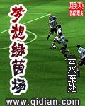 梦想绿茵场继承人heir