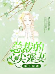 总裁的心尖宠妻