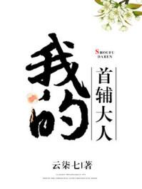 我的首辅大人txt书包网