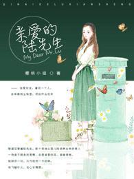 亲爱的陆先生陆泽承全文免费