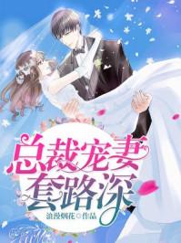 总裁宠妻套路深的