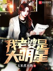 我老婆是大明星2