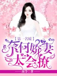 第一名媛奈何娇妻太会撩文森