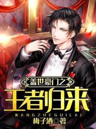 盖世豪婿免费全本