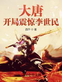 大唐开局震惊李世民无弹窗