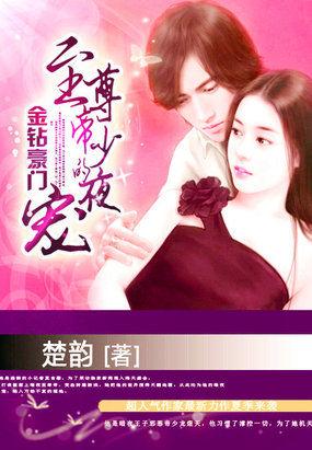 金钻豪门至尊帝少的盛宠无删减版