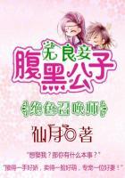 绝色风华腹黑召唤师免费阅读