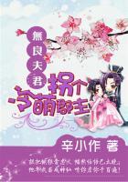 无良夫君拐个冷萌郡主