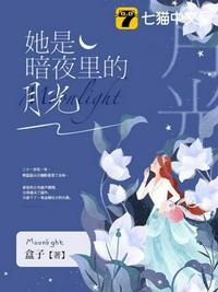 她是暗夜里的月光傅霁北