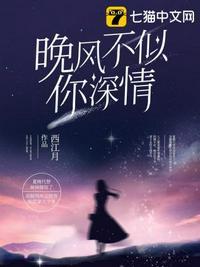 晚风不似你深情什么意思