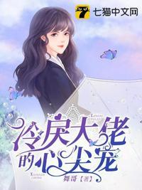 冷戾大佬的心尖宠提取码
