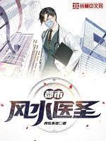 都市风水医圣(养乐不多)全文免费