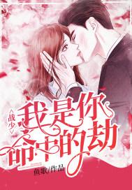 你是我命中的劫免费全文