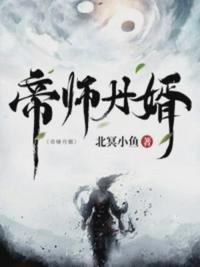 帝师王婿在线阅读