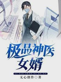 极品医圣女婿