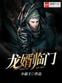 化龙记免费阅读全本