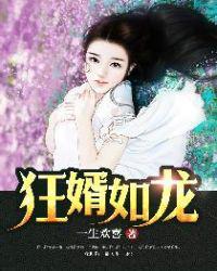 陆叶白风雪名字
