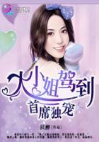 首席独宠小懒妻