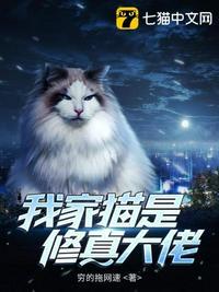 我家的猫会修仙