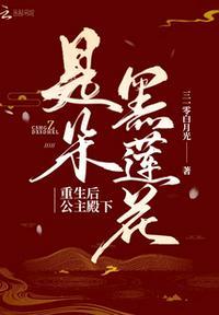 重生后公主殿下是朵黑莲花免费阅读全文