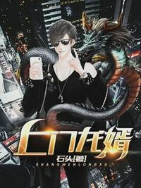 上门龙婿旷飞