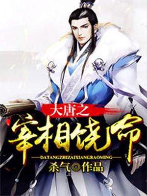 大唐之少年宰相无弹窗