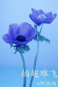 沈初云陆进插翅难飞简介