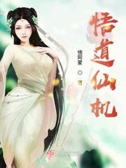 悟道仙机 评价