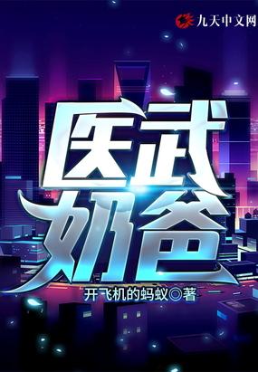 医武奶爸叶凡视频